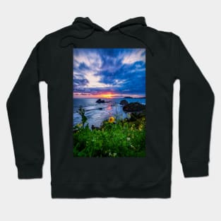 Daisy at Sunset Hoodie